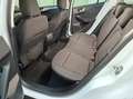 Ford Focus 1.5 EcoBlue Titanium, AHK, LED, Weiß - thumbnail 10