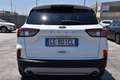 Ford Kuga 1.5 EcoBlue 120 CV 2WD Titanium *NAVIGATORE* Blanco - thumbnail 5