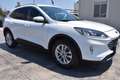 Ford Kuga 1.5 EcoBlue 120 CV 2WD Titanium *NAVIGATORE* Blanco - thumbnail 3