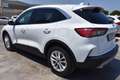 Ford Kuga 1.5 EcoBlue 120 CV 2WD Titanium *NAVIGATORE* Blanco - thumbnail 6
