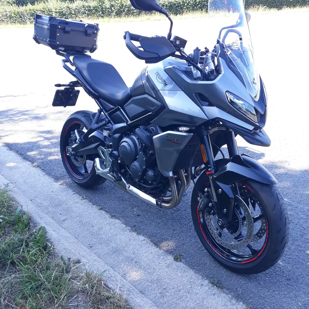 Triumph Tiger Sport Tiger 660 sport *** CT ok feuille rose *** Argintiu - 1