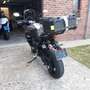 Triumph Tiger Sport Tiger 660 sport *** CT ok feuille rose *** Argent - thumbnail 16