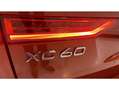 Volvo XC60 D4 Business Plus Aut. Rojo - thumbnail 32