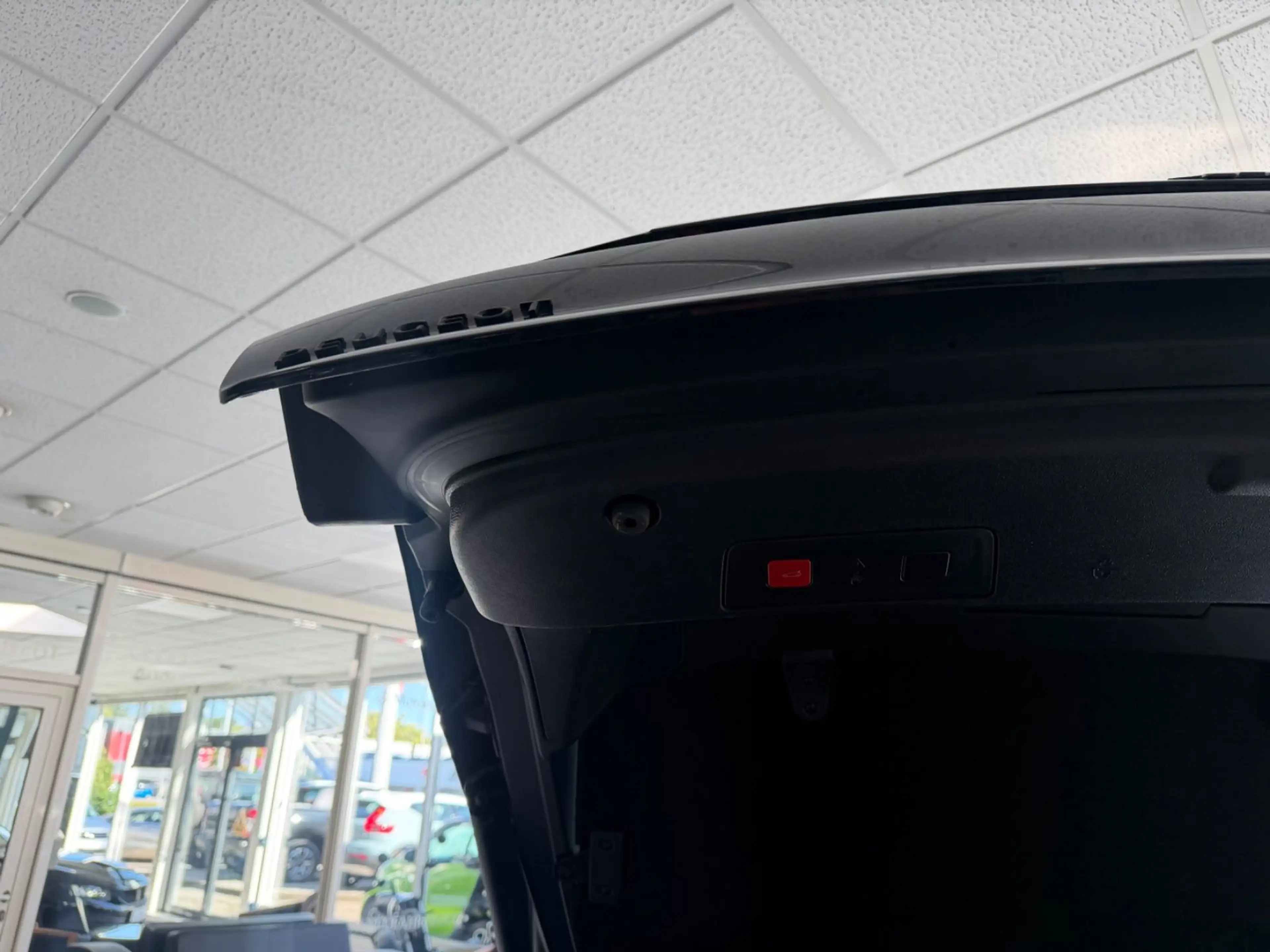 Peugeot 508 PSE 360 | NIGHT VISION | FOCAL | ACC | 360° — photo 12