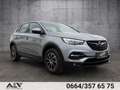 Opel Grandland X Edition Grau - thumbnail 1