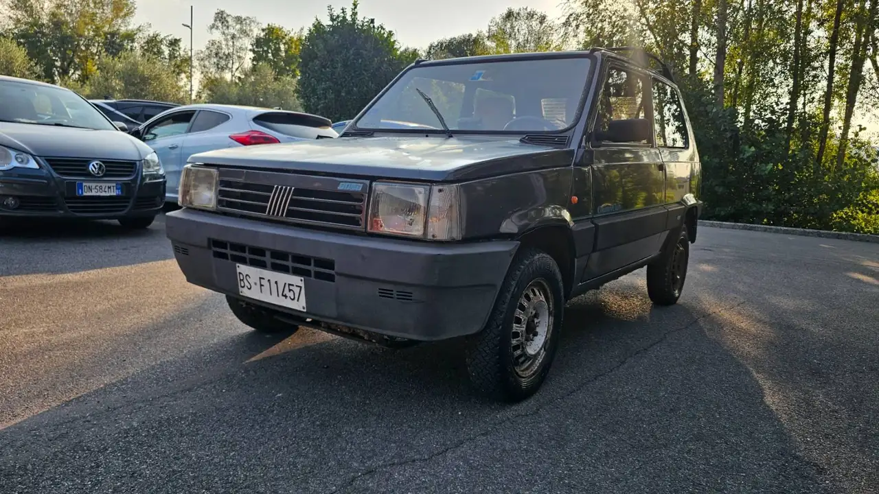 Fiat Panda 1.1 Country Club 4x4 cat., foto 7