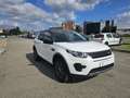 Land Rover Discovery Sport 2.0 td4 SE Business edition Premium awd 150cv auto Bianco - thumbnail 3