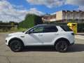 Land Rover Discovery Sport 2.0 td4 SE Business edition Premium awd 150cv auto Blanc - thumbnail 8