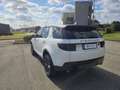Land Rover Discovery Sport 2.0 td4 SE Business edition Premium awd 150cv auto Bianco - thumbnail 7