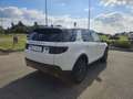 Land Rover Discovery Sport 2.0 td4 SE Business edition Premium awd 150cv auto Bianco - thumbnail 5