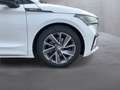 Skoda Enyaq Sportline 80 Weiß - thumbnail 9