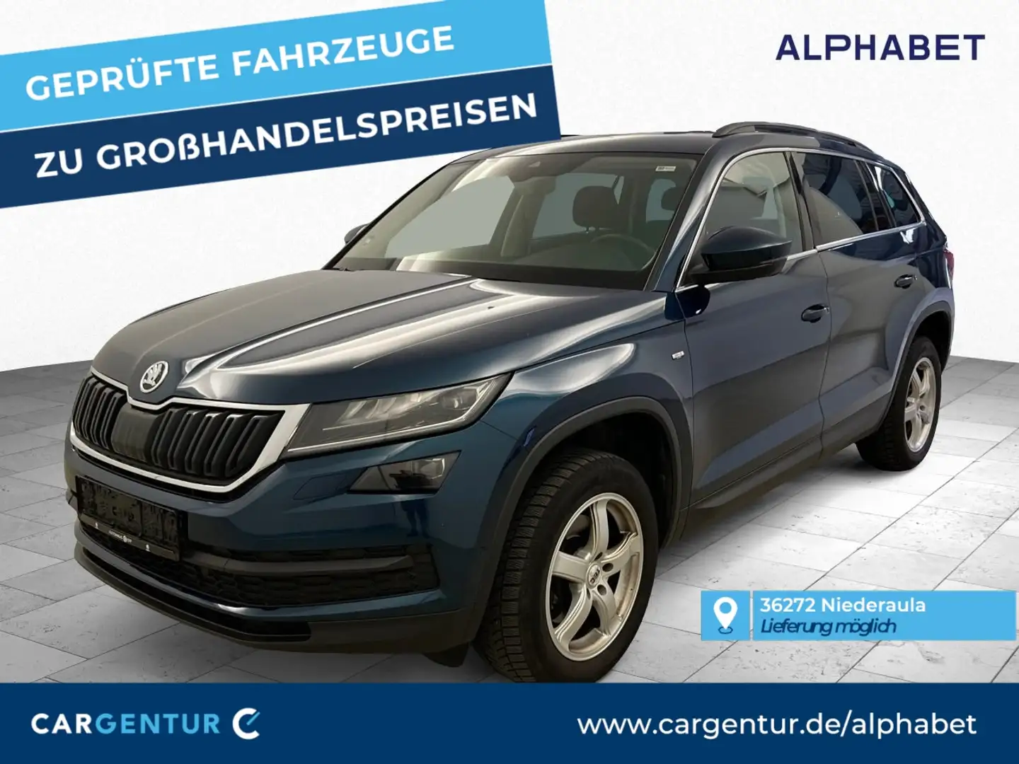 Skoda Kodiaq 2.0 TDI Drive 125 Virtual 360° AHK Pano Blau - 1