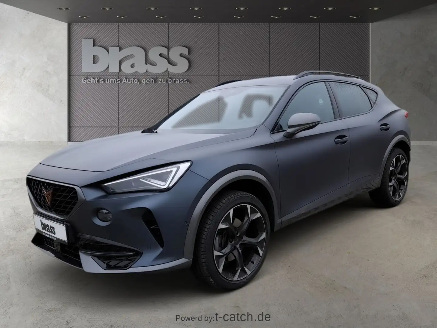 CUPRA Formentor 1.5 TSI Rückfahrkamera Full Link Grau - 2