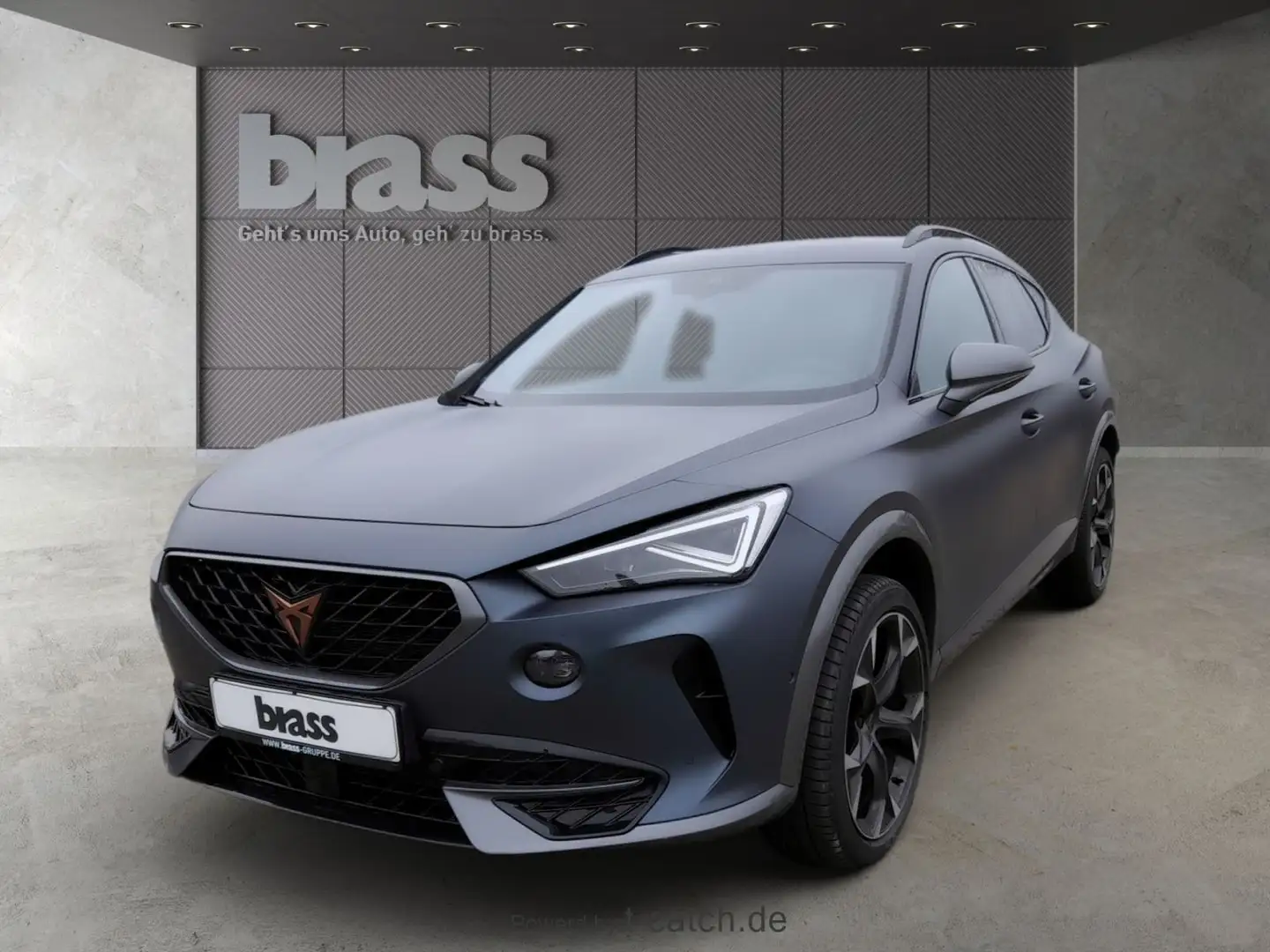 CUPRA Formentor 1.5 TSI Rückfahrkamera Full Link Grau - 1