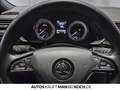 Skoda Superb Combi 2.0 TSI DSG 4x4 L&K RFK STANDHZ DCC Grau - thumbnail 12