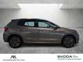 Skoda Fabia 1.0 TSI Tour SmartLink DAB LED RFK Grau - thumbnail 7