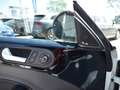 Volkswagen Beetle - Käfer - Exclusive R-Line BMT/Start-Stopp Blanc - thumbnail 13