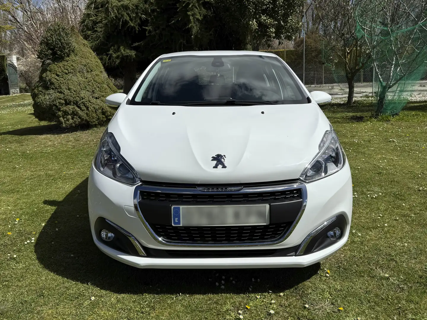 Peugeot 208 Signature 1.2 PureTech S Blanco - 2