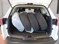 Ford Focus Traveller 1,0 EcoBoost Trend Weiß - thumbnail 11