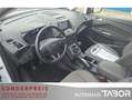 Ford C-Max 1.0 Titanium AHK Navi LM PDC Klimaaut. GRA - thumbnail 7