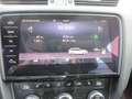 Skoda Octavia Drive Automatik Weiß - thumbnail 19