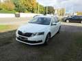 Skoda Octavia Drive Automatik Weiß - thumbnail 1