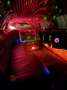 Lincoln Town Car limousine 120 inch - thumbnail 2