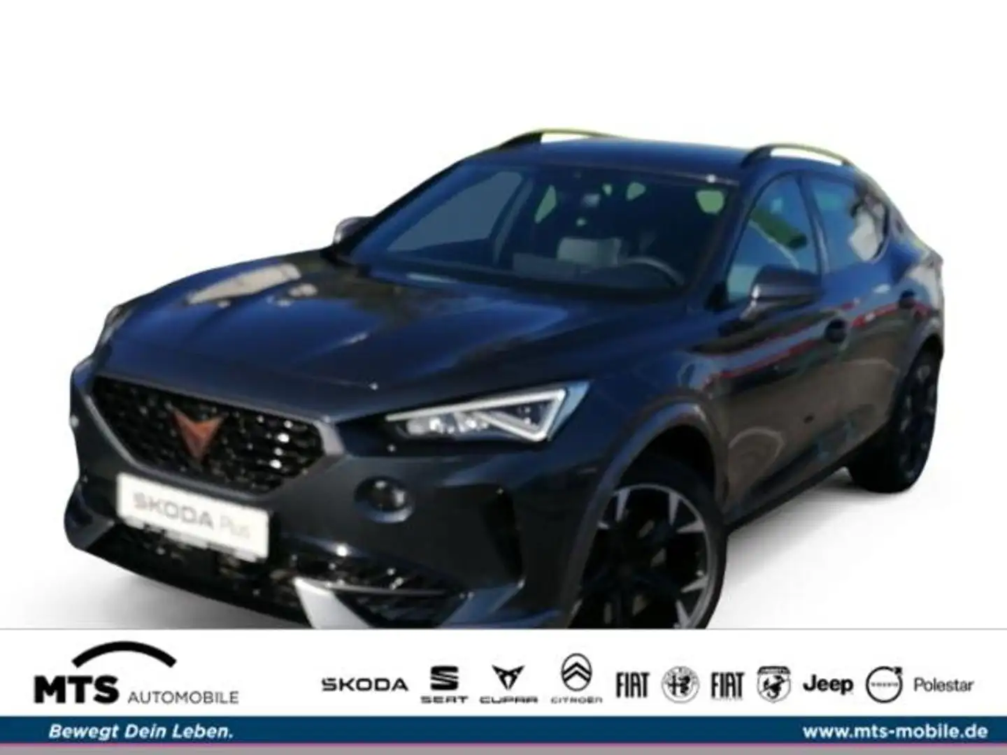 CUPRA Formentor CUPRA Formentor VZ 2.0 TSI 4Drive 228 kW (310 PS Grau - 1