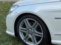 Mercedes-Benz E 200 Cabrio CGI Elegance 50.000 KMS UNIEK MOOI! Blanc - thumbnail 12