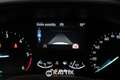 Ford Focus SW 1.5 Ecoblue 120CV Business Auto Bianco - thumbnail 14