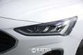 Ford Focus SW 1.5 Ecoblue 120CV Business Auto Bianco - thumbnail 4