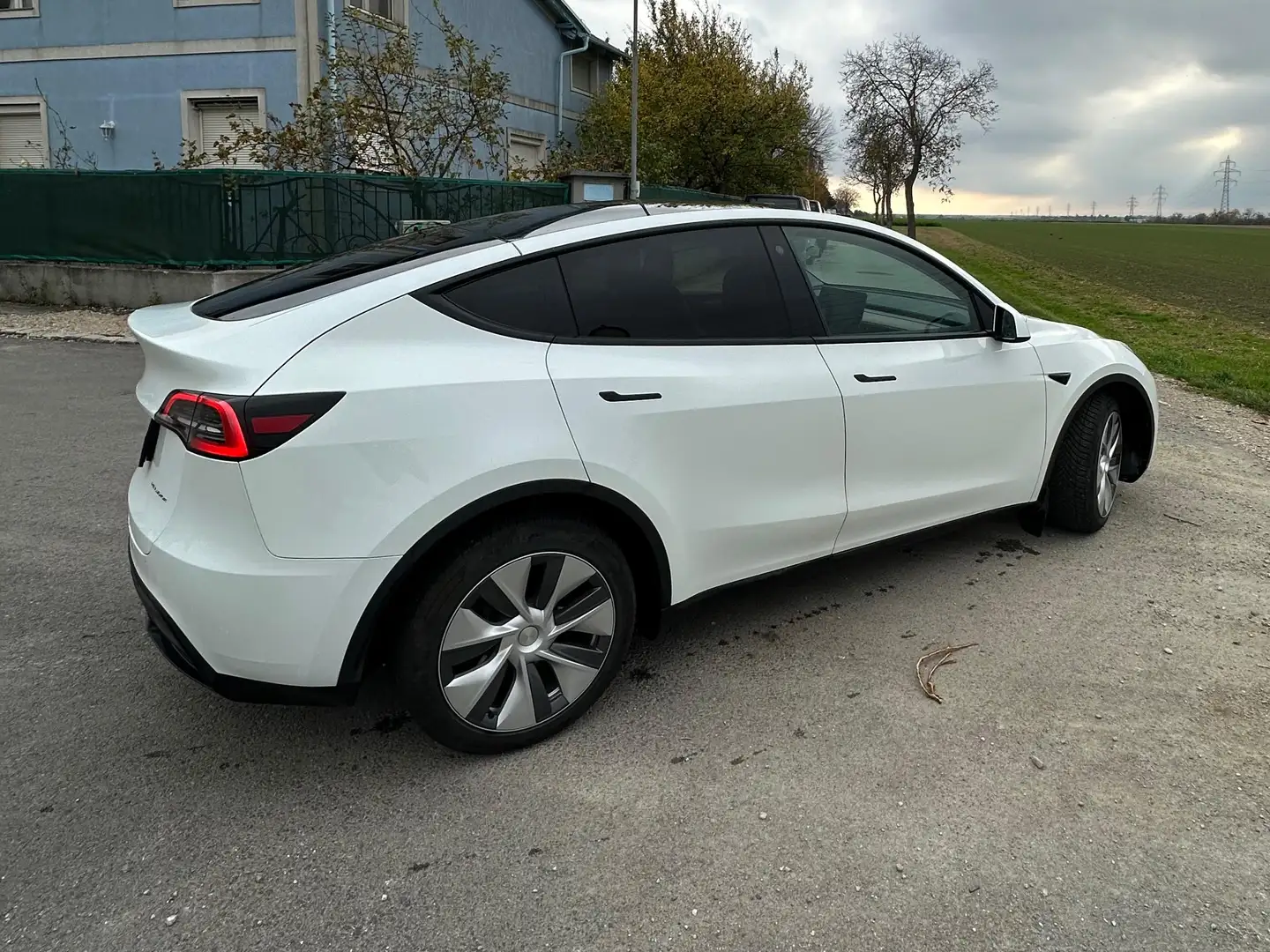 Tesla Model Y Model Y Long Range AWD 79kWh Weiß - 1