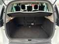 Renault Scenic XMod dCi 110 CV EDC Limited Blanc - thumbnail 14