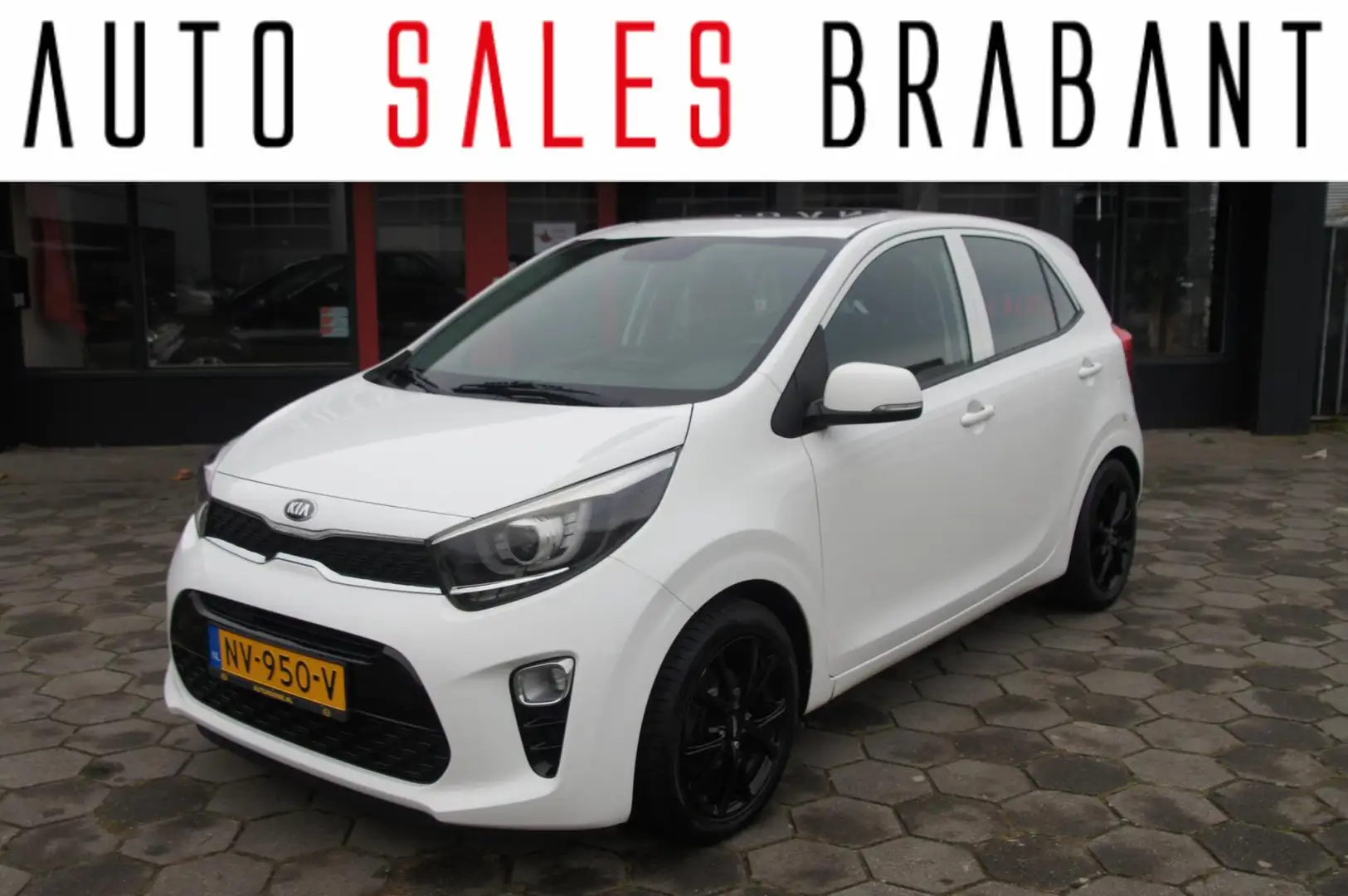 Kia Picanto 1.0 CVVT First Edition Wit - 1