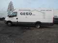 Iveco Daily 50C17 MAXI 3.0EEV AIRCO+++++++++++ Wit - thumbnail 1