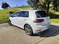 Volkswagen Golf 5p 1.6 tdi Sport 115cv dsg - thumbnail 3