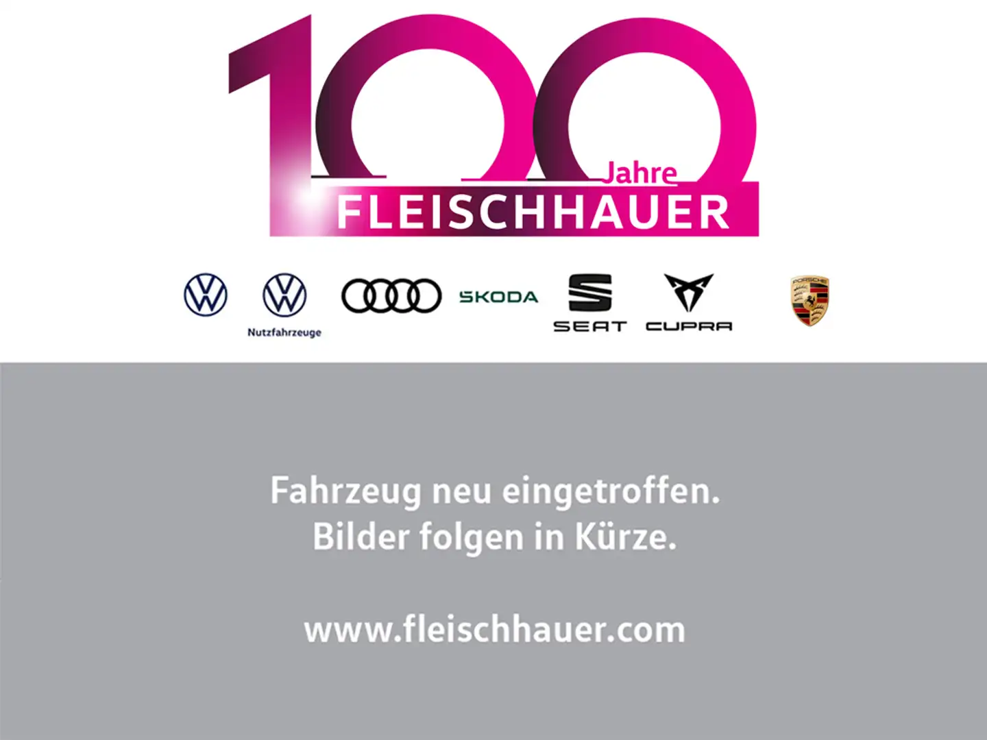 Volkswagen Transporter Basis 2.0 EU6d 2,0 l 150 kW TSI OPF 7-Gang-DSG Gri - 1