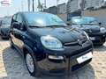 Fiat Panda 1.0 firefly hybrid 70cv Noir - thumbnail 3