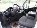 Peugeot Boxer Kastenwagen 435 L3H2 BlueHDi 180 Automatik - thumbnail 11