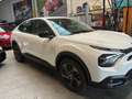Citroen C4 X C4 X ** NIEUWSTAAT ** FULL OPTION ** BENZINE Wit - thumbnail 20
