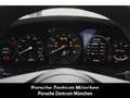 Porsche 992 911 Carrera BOSE LED Sportabgas Sportsitze Grijs - thumbnail 9