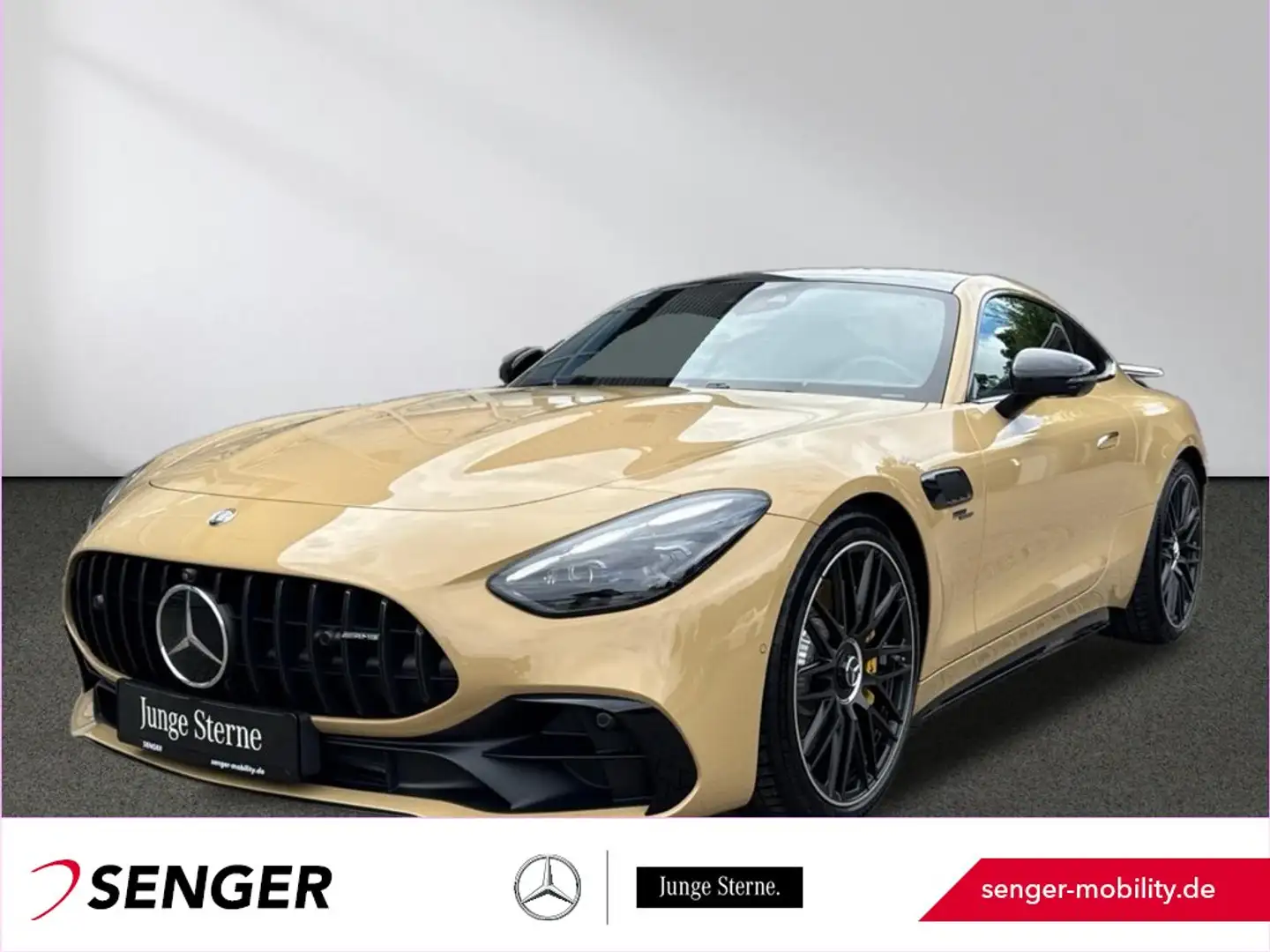 Mercedes-Benz AMG GT 43 Night Distronic Pano HeadUp Ambiente Brun - 1