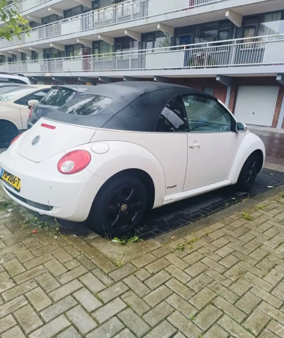 Volkswagen New Beetle 1.6 Highline Fehér - 1