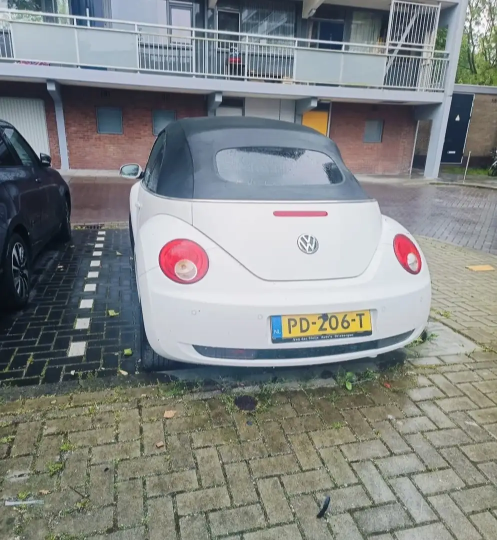 Volkswagen New Beetle 1.6 Highline Fehér - 2