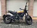 Ducati Scrambler Modello full throttle 800 Alb - thumbnail 2