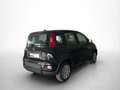 Fiat Panda Hybrid 1.0 GSE 51kw (70PS) Black - thumbnail 6