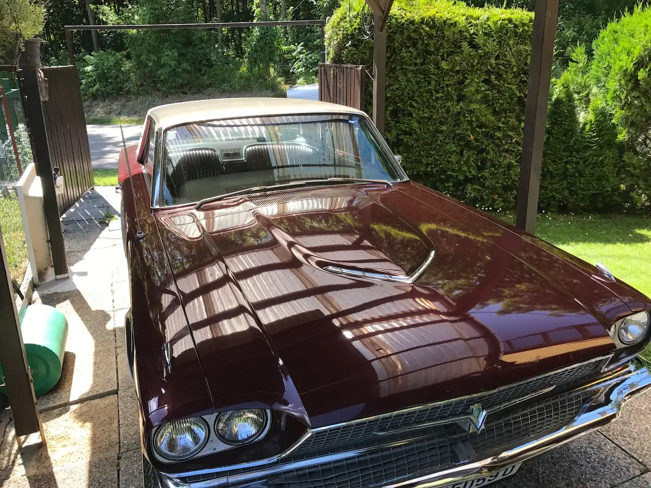 Ford Thunderbird 2 Door Hardtop Coupe, foto 8