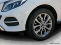 Mercedes-Benz GLE 350 d 4M EXCLUSIVE AHK Airmatic Pano Leder Blanc - thumbnail 3