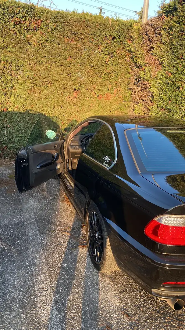 BMW 323 323ci Coupe - 2