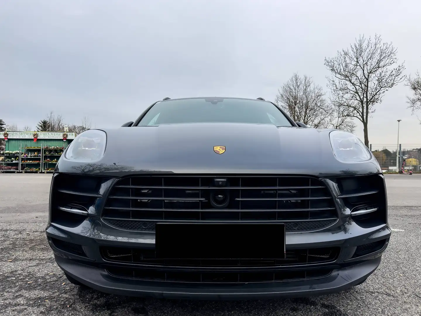 Porsche Macan Porsche Macan II APPROVED / 360°CAM / BOSE / 14 Wege elektri. Ledersitze Heiz&Belüft / Luft / Radar / AHK / Pano / Grau - 2